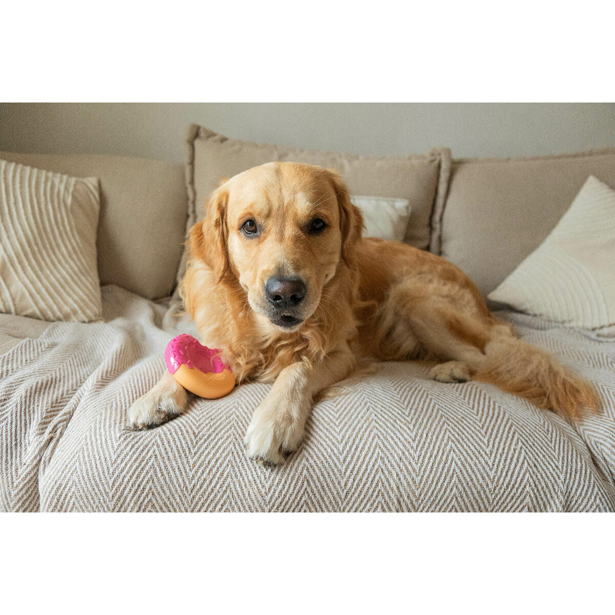 V5H77584461C6C6424A7517D14244D60D85R7427444P4