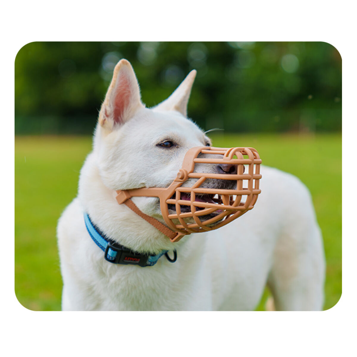 V5H5322E914104E65967131FFFF251D4662R5327530P3