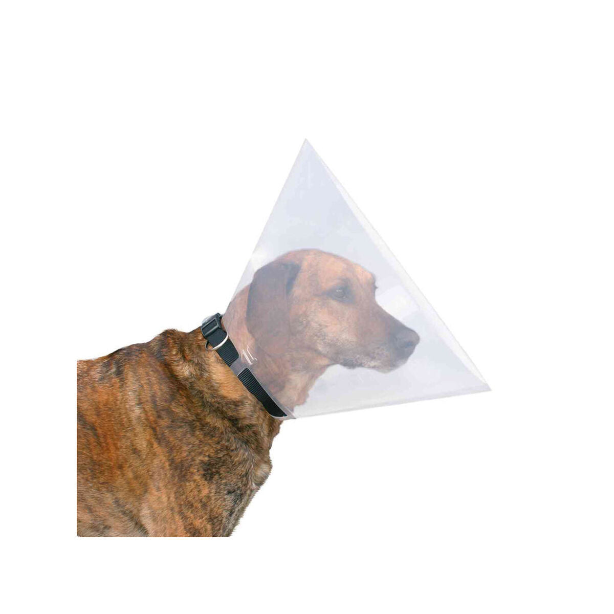 V6H991113B86E959B311C3203C4EED6D7DFR7440539P3