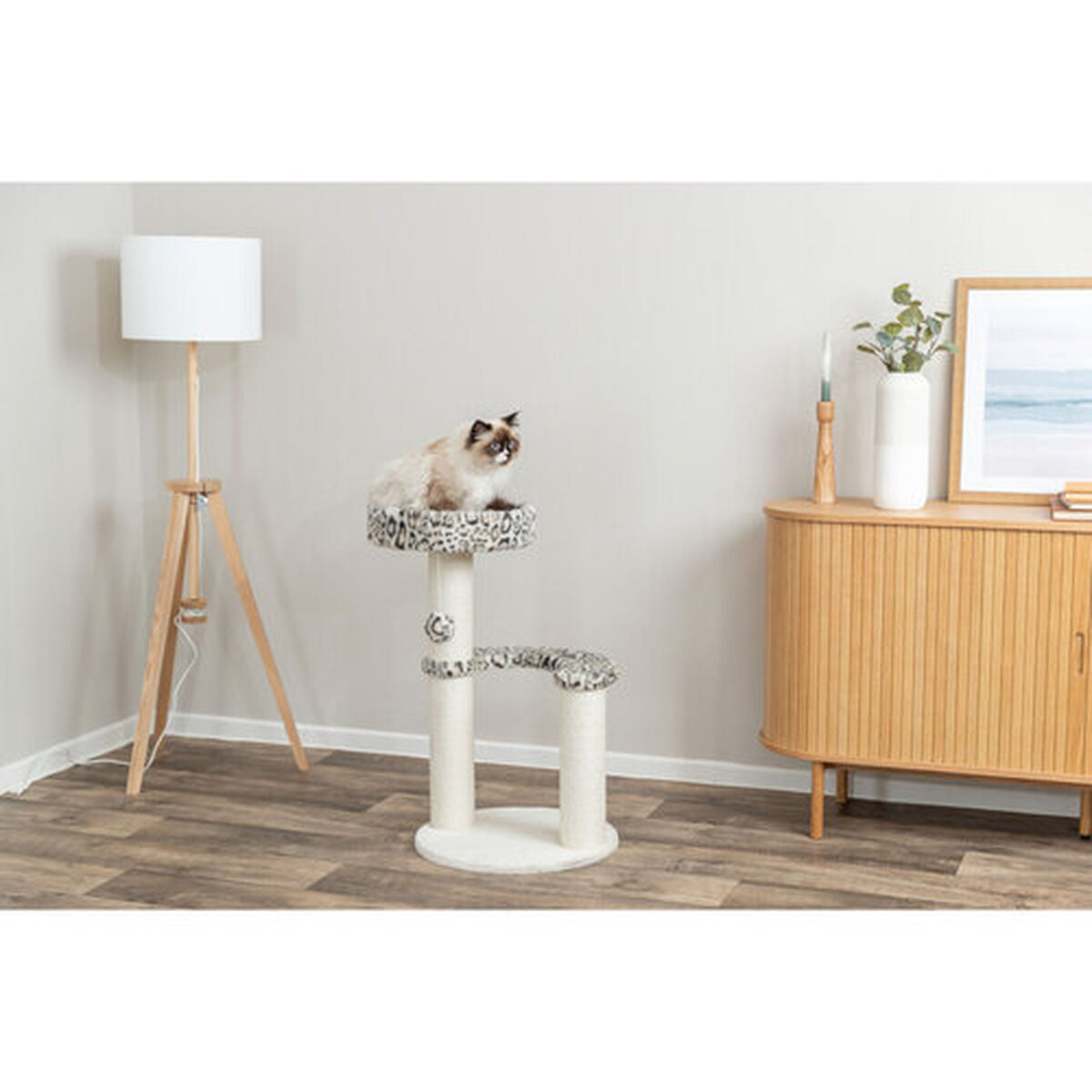 V3HAB859E554C0C681DBA25246A350BEA62R7428854P6