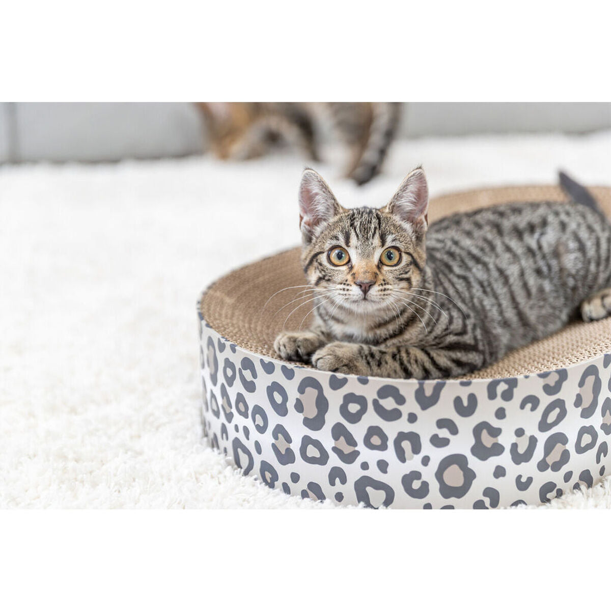 V3H0F055F3526D38F6146A51CFFC38EE6DAR7503849P3