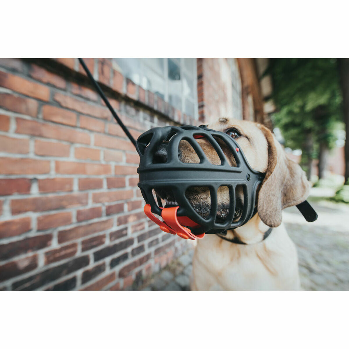 V10H8AB3354EEBF50964B6CFB451C2FBA561R4389384P3