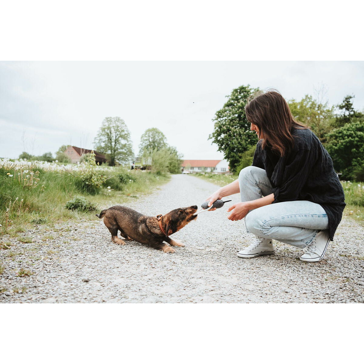 V4H1C88DF9CC01B3B913138E6986AA22FBER5574734P2