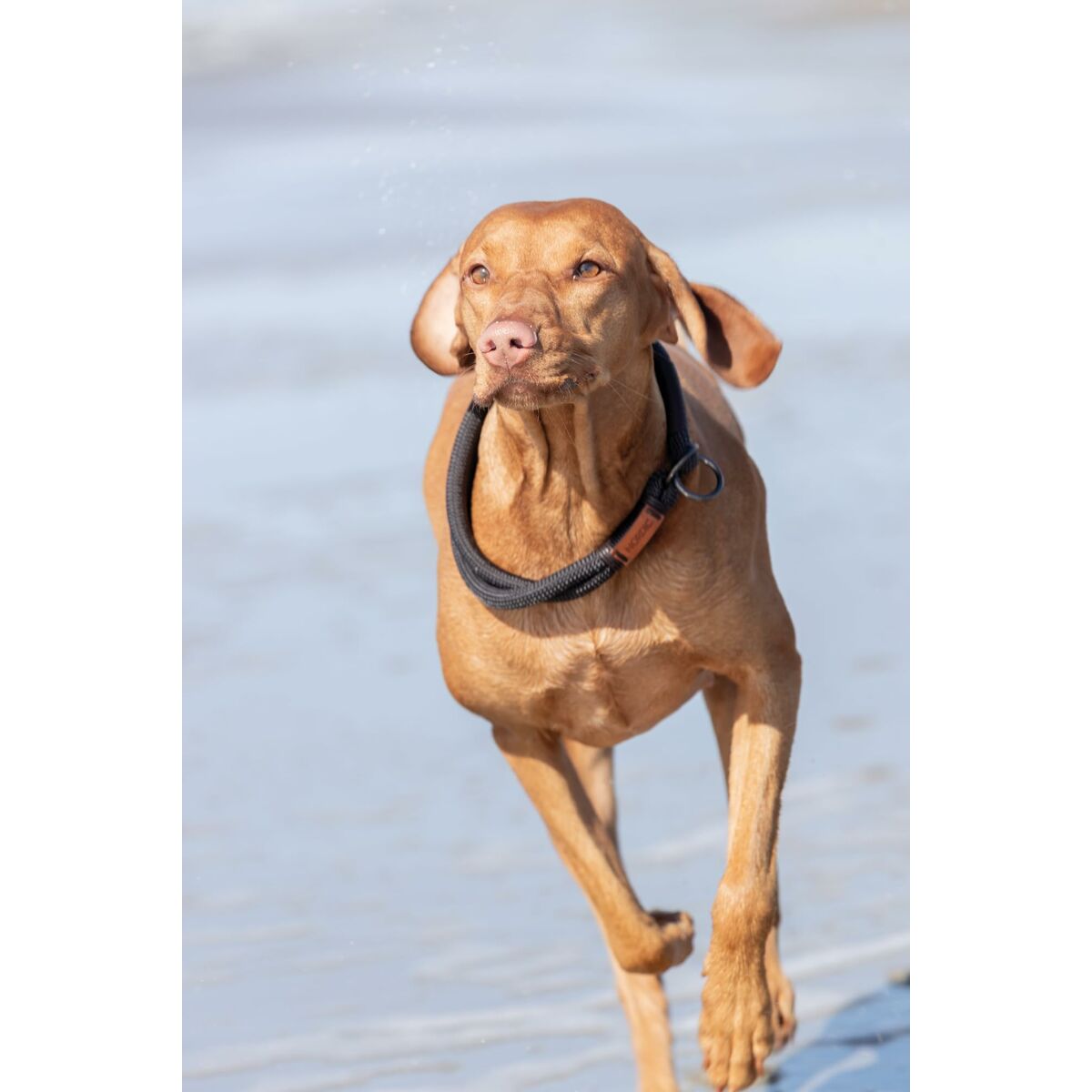 V7H85D7A35EF5E3BDCE917320A56E3D57D8R5330169P10