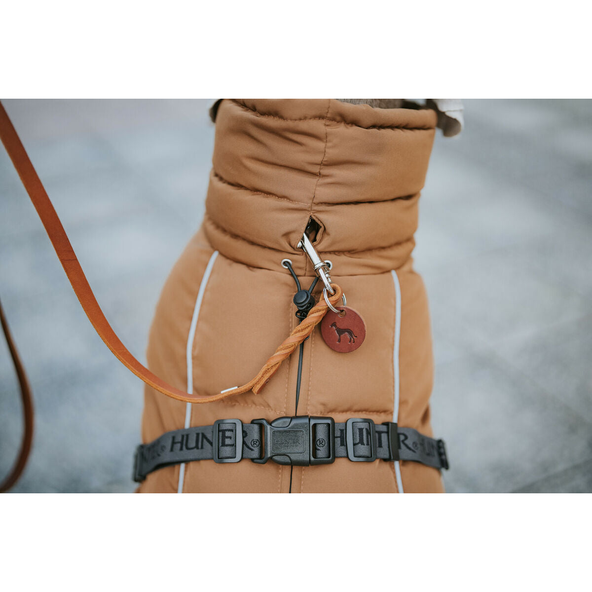 V4H845D942AE1D9D579EC84F6C0428FB989R5575939P7