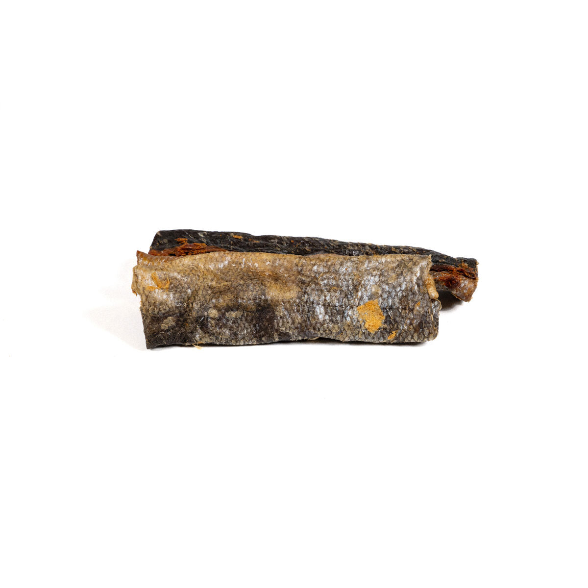 V4H1B0B411E3032A924DBA60CED58040B58R5292972P2