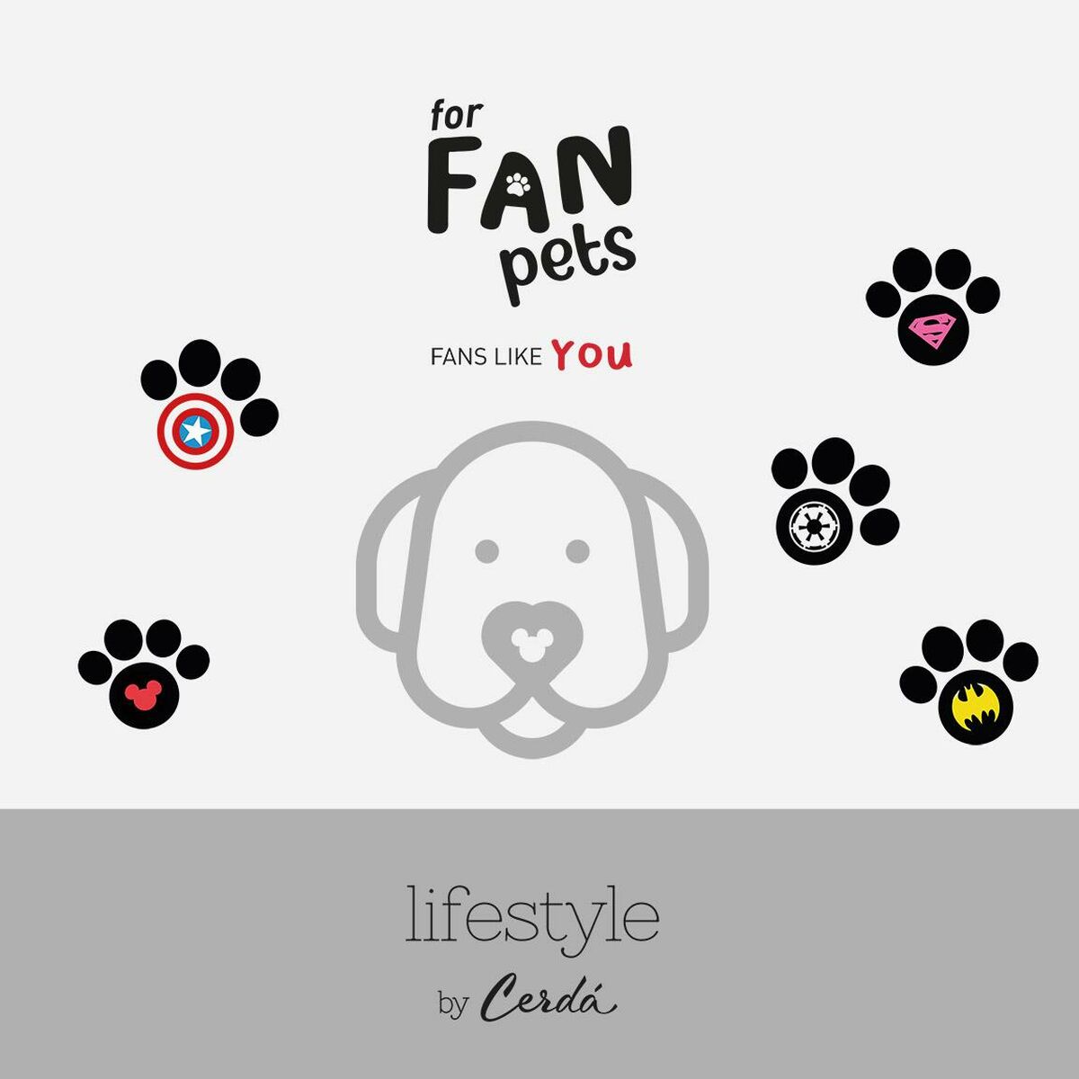 V6H506B2A448D23A9374E1F14D1002241F3R6604137P10