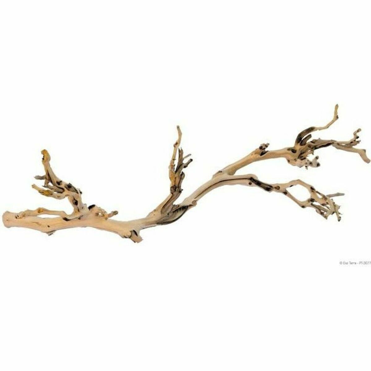 Trees