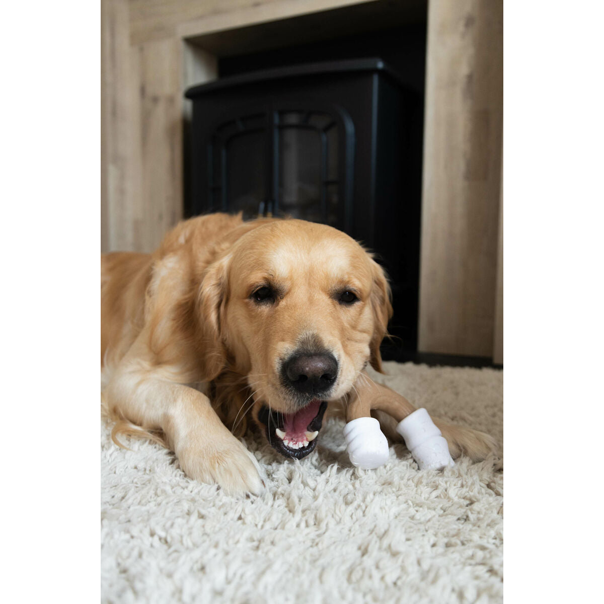 V4H1168FC2E47A1381B38DB7698EC2A5A9AR5778904P3