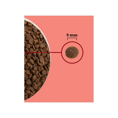 V4H4F9118BA05FF2353B95AF613106F9C91R5851858P2