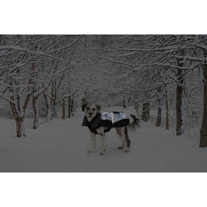 V6H044AB8468EDD123EC9DA778950FAA79DR5332392P2