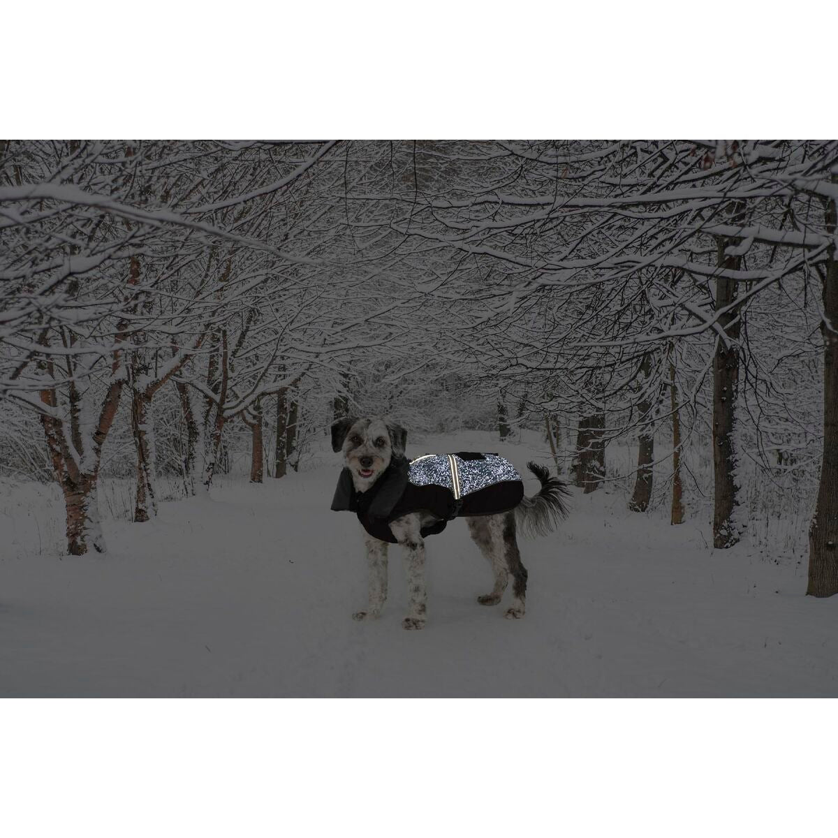 V6H277C3DBE87E9D463995E7B277F270817R5332432P2