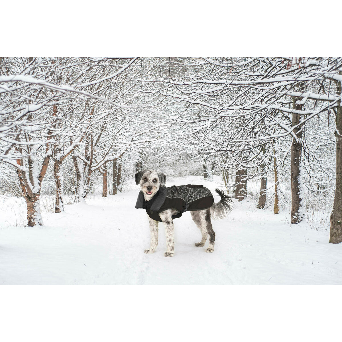 V6H55B00D61FA261EE622B1A2F7EE9BAC94R5332500P8