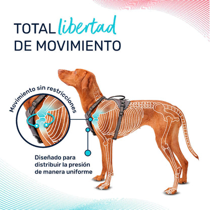 V5H1F3305B144D17C14B29BC0A8FEE14A12R5328453P5