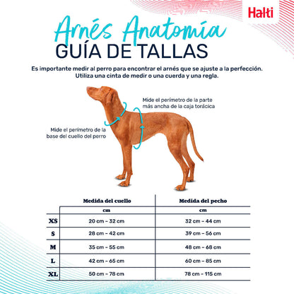 V6H490C5ADF52EDB8C97AF91BDBA83226A9R5328470P4