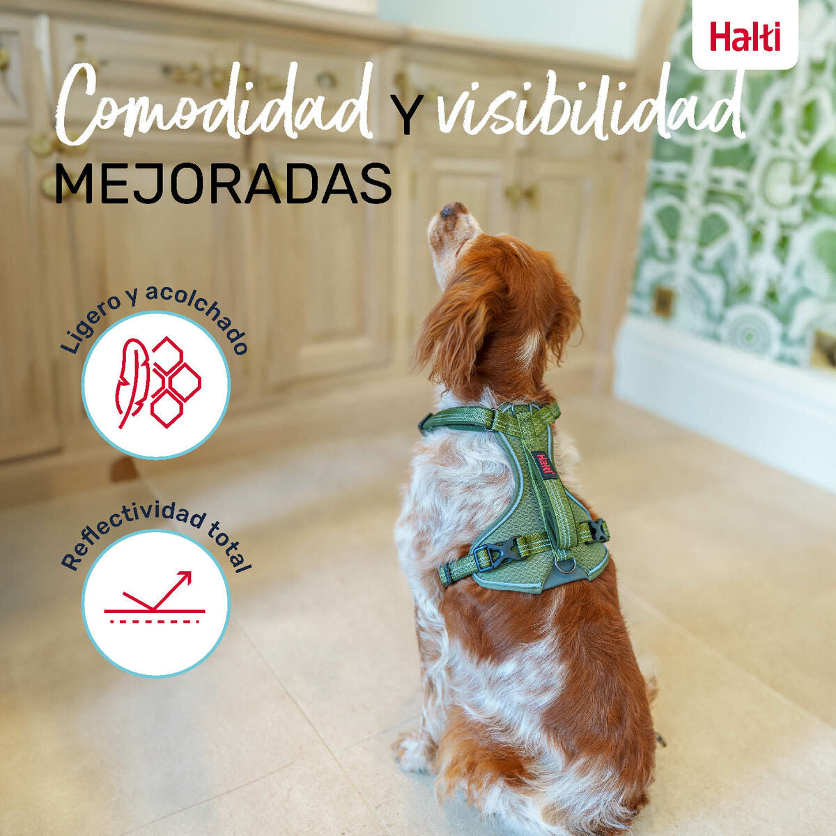 V6H3E0BF87AEBBA18F52FFABB0517A3DDE7R5328531P5