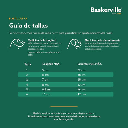 V5H1FC23208BB6219284408247D656B5D44R5327519P5