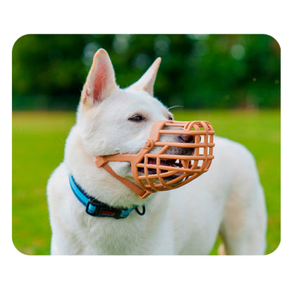 V5H81D032E942BBD17B9E9B79C0A7EC18BDR5327556P3