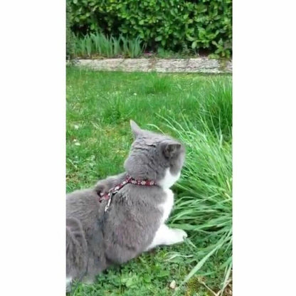 V4HEA88F7DB7AA831B6AC42A186FCB6484FR5779231P4