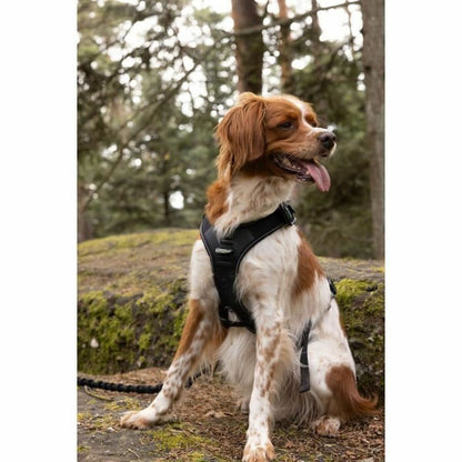 V6H51C327ECA3270343282434A7D34AC4B9R5293602P6