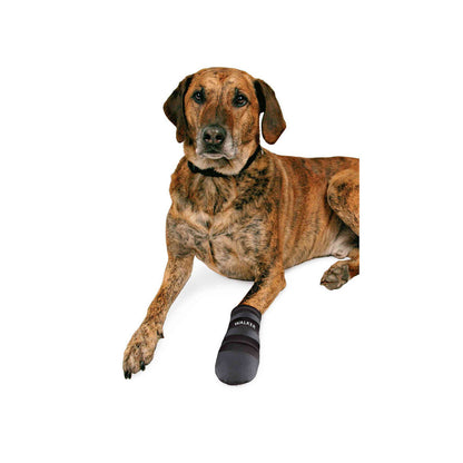 V4HC77E13FD0BA49B99C71A9F598C50640CR7440591P3