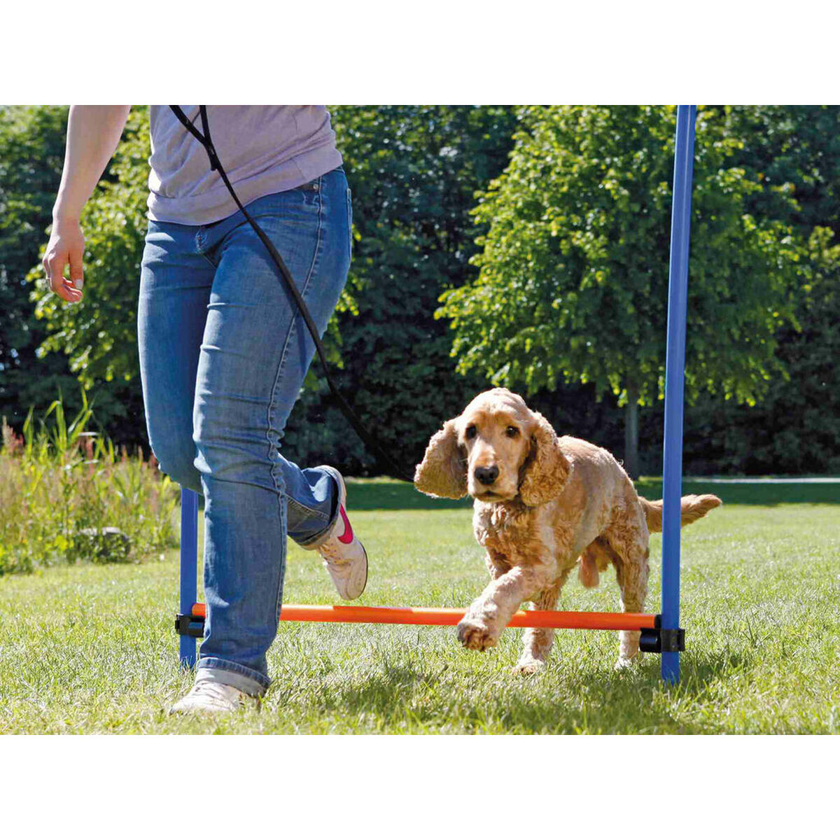 V6H678B886D211F9879287B3F0B473F9019R7442278P4