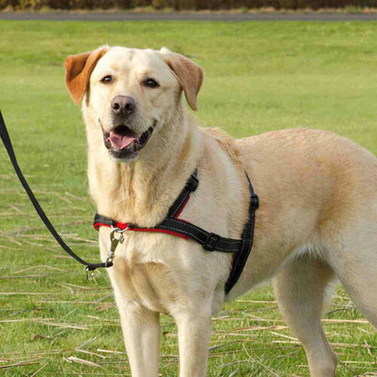 V8H0DCCEF46036F53BDC0AB316BA27FD48ER7441876P8