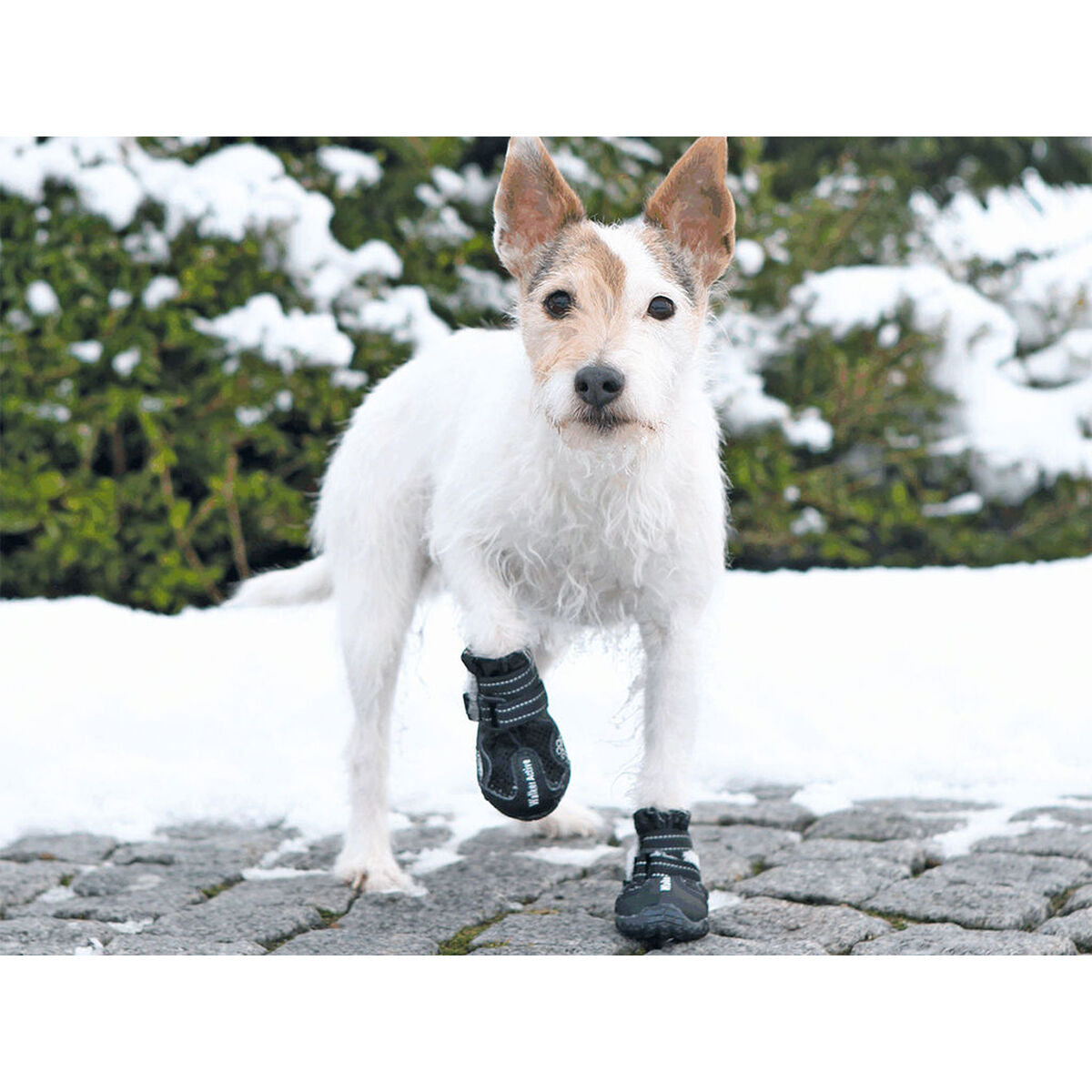 V7H8F516D67CF9459771814F7F7BD97243CR7439795P3