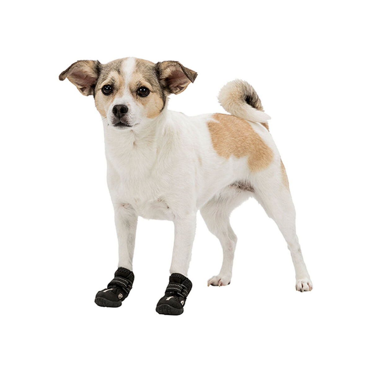 V7HF718C0B65B04EDFCA69EA4D21149F04ER7439805P5