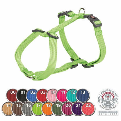 V7H88375C59BAC4FE7319569B3DF9D5E0B7R5329151P2