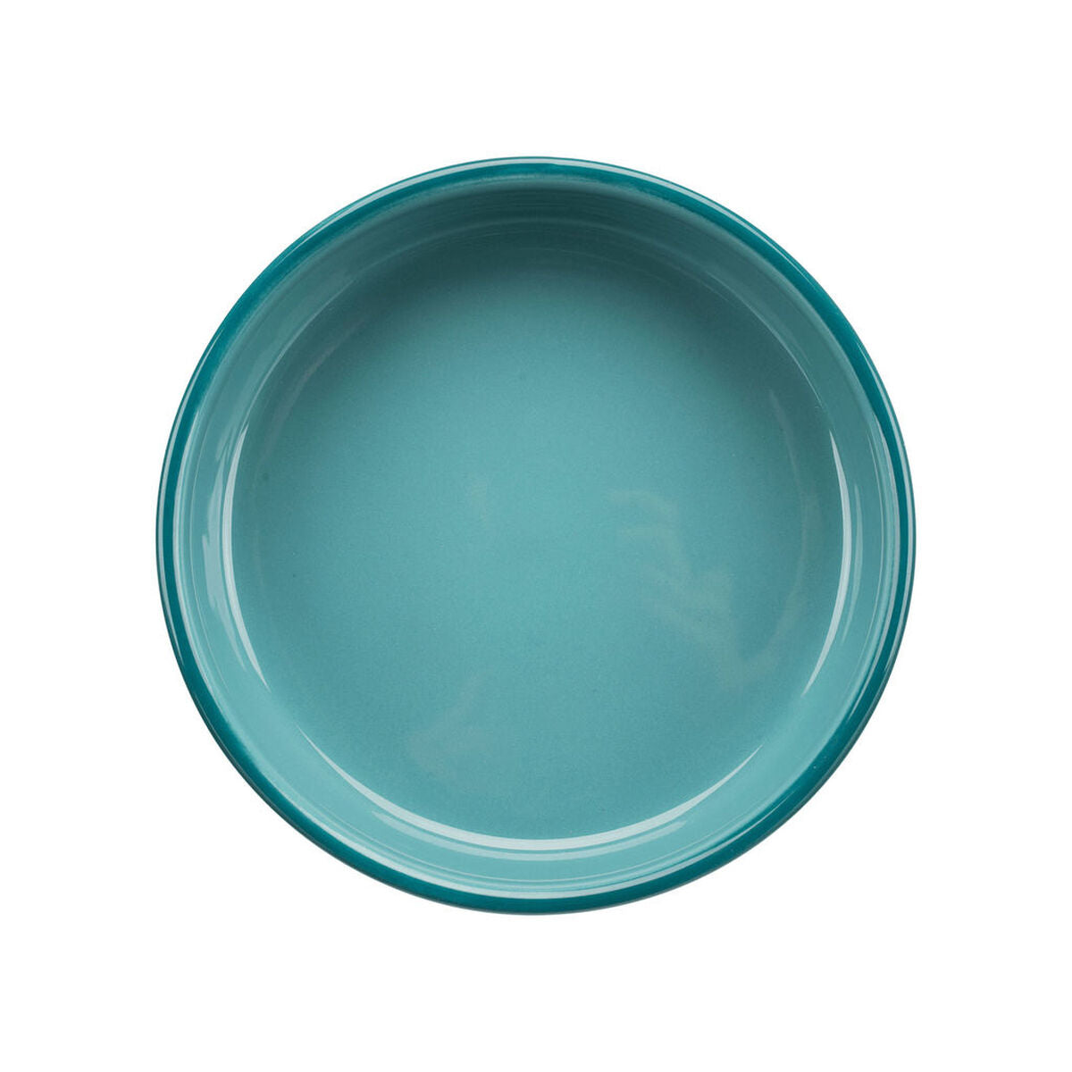 V7HAE65308E1017379D4B7E51061974E7B4R7451078P9