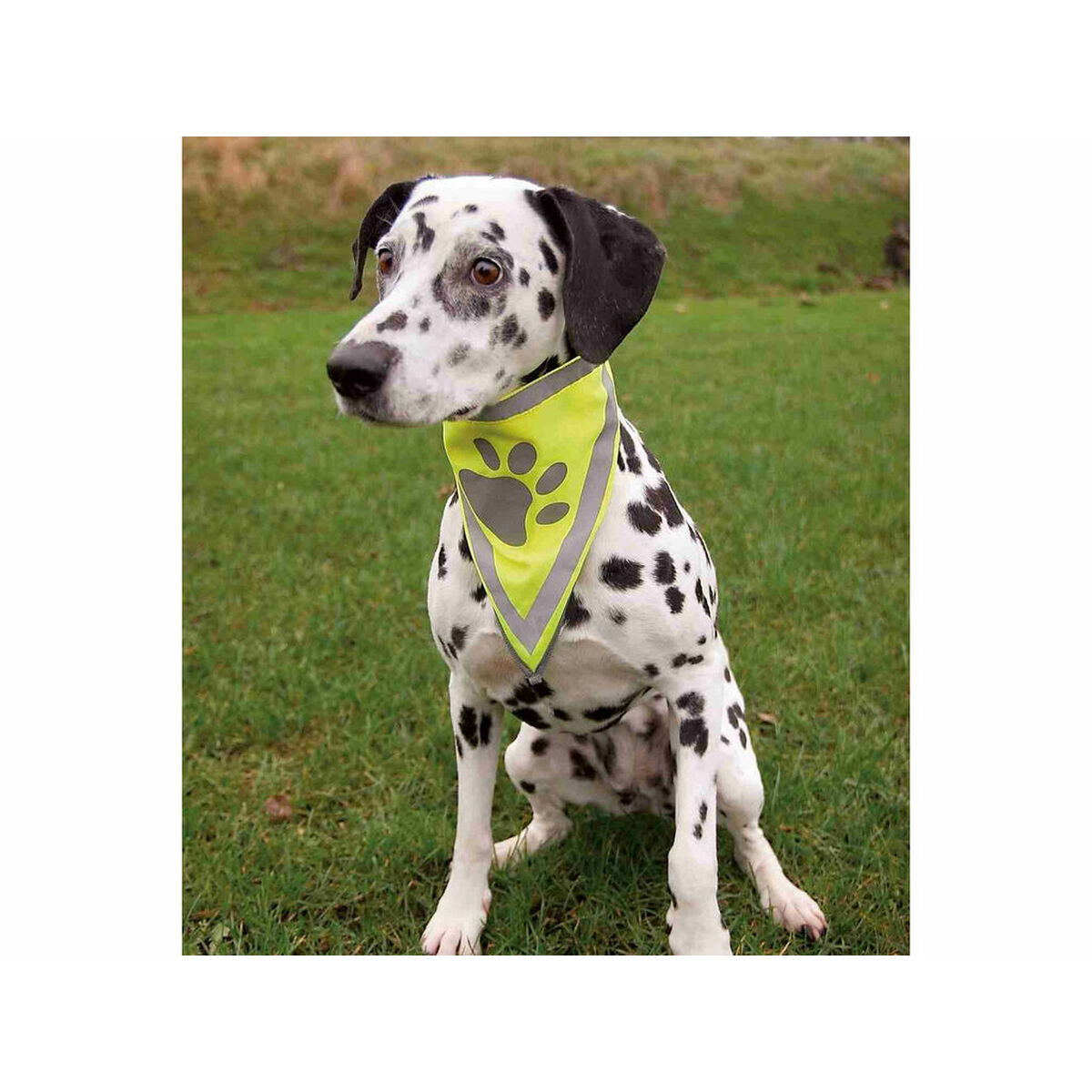 V5H3EA4740565B3F40D2110249847CDA683R7440226P3