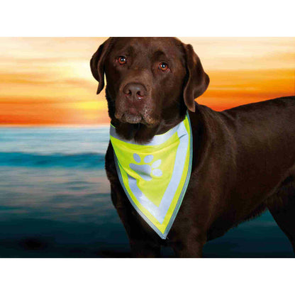 V5H23C76A637C54194B1EA7AE7B040425E4R7440232P5