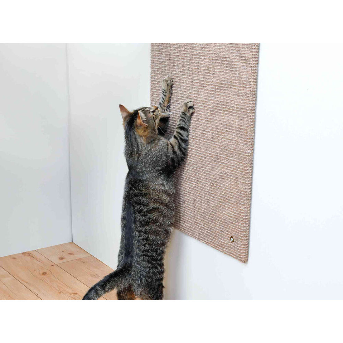 V8H49D17CAD99601D404529EDDB488A2DDBR7445226P2