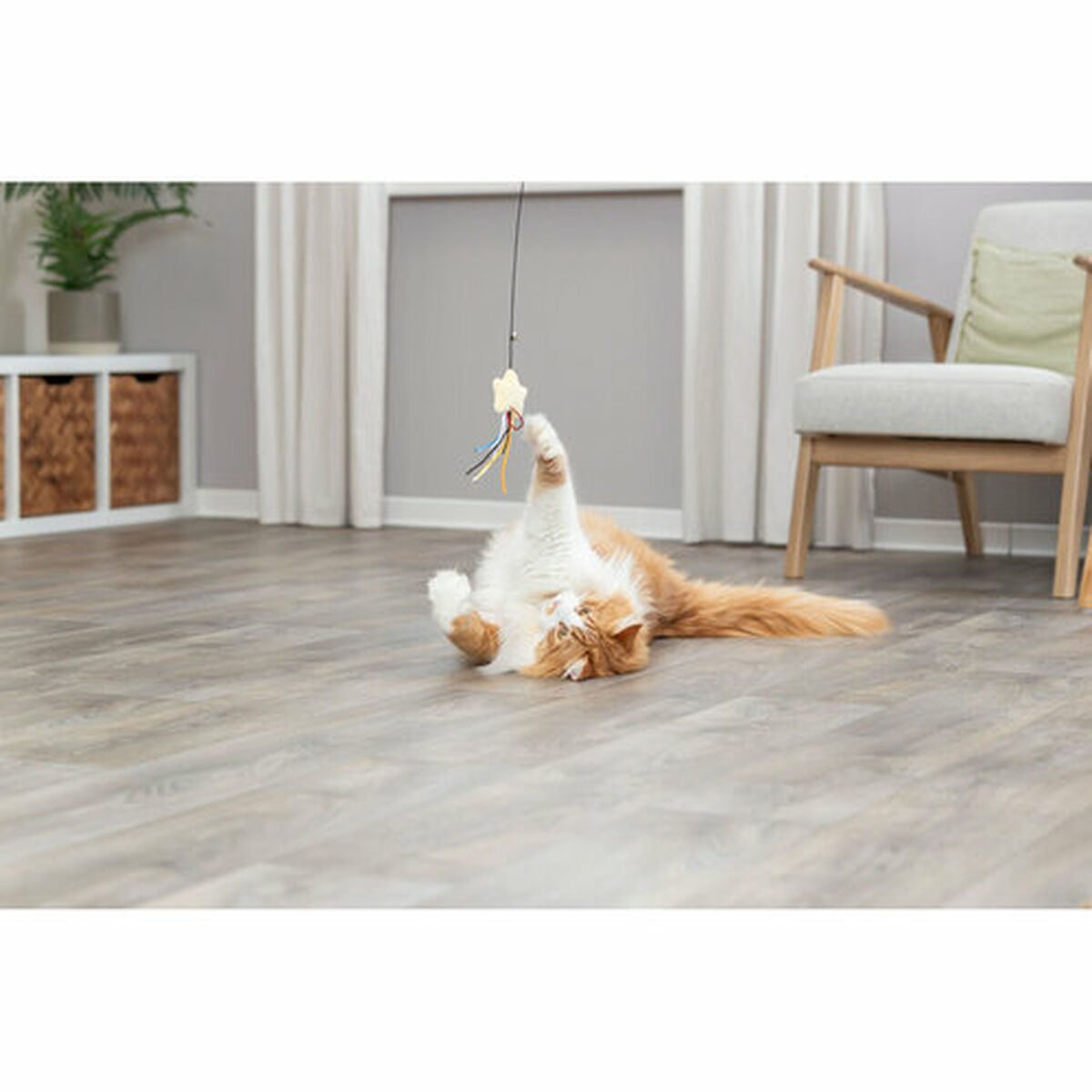 V6HDB2E589D70DC8061B439DD6373C95934R7459568P6