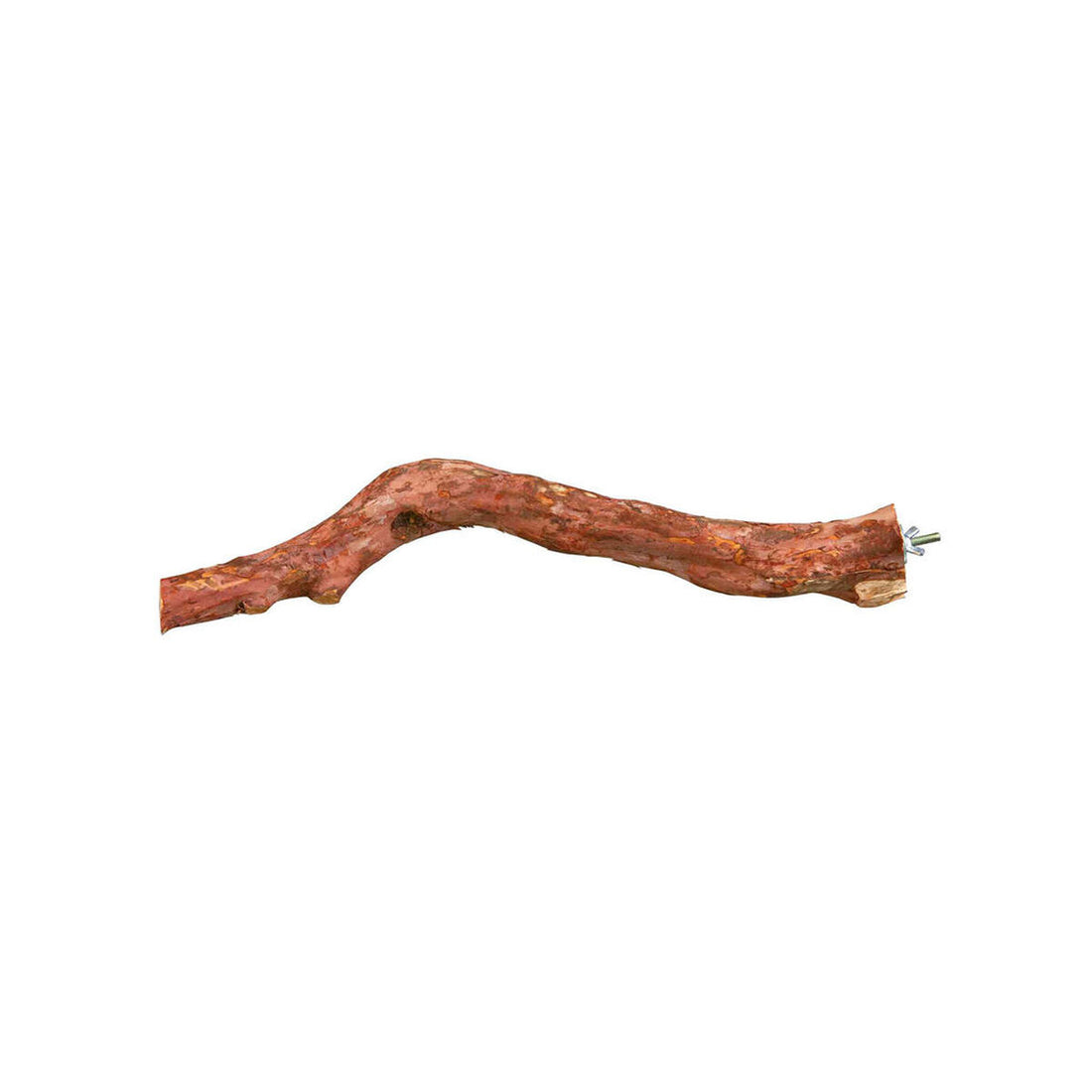 V6HDF04E65F8BC4B0218CD4F4FFEFF6DB41R7445552P1