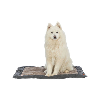 V3H1A13EE4D868C1EA0C99AABB119FF48BBR7518986P3