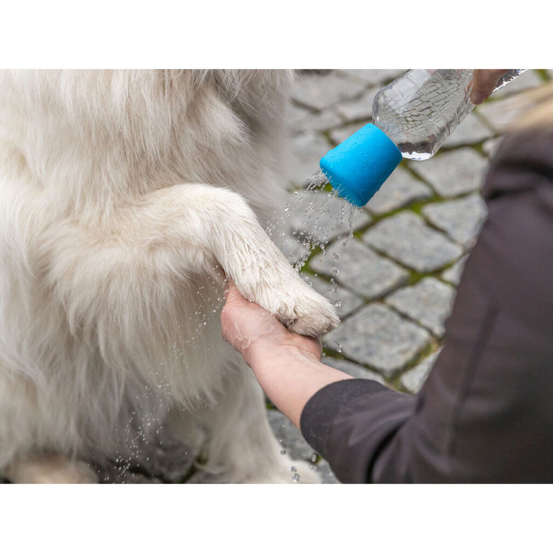 V2HA67530B395702DF32FAA8B4736860493R7614264P2