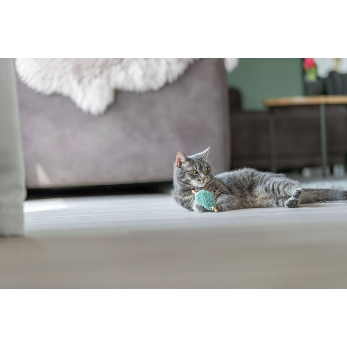 V5HF6474BA530130E0E2F352E3556AA023DR7449398P3