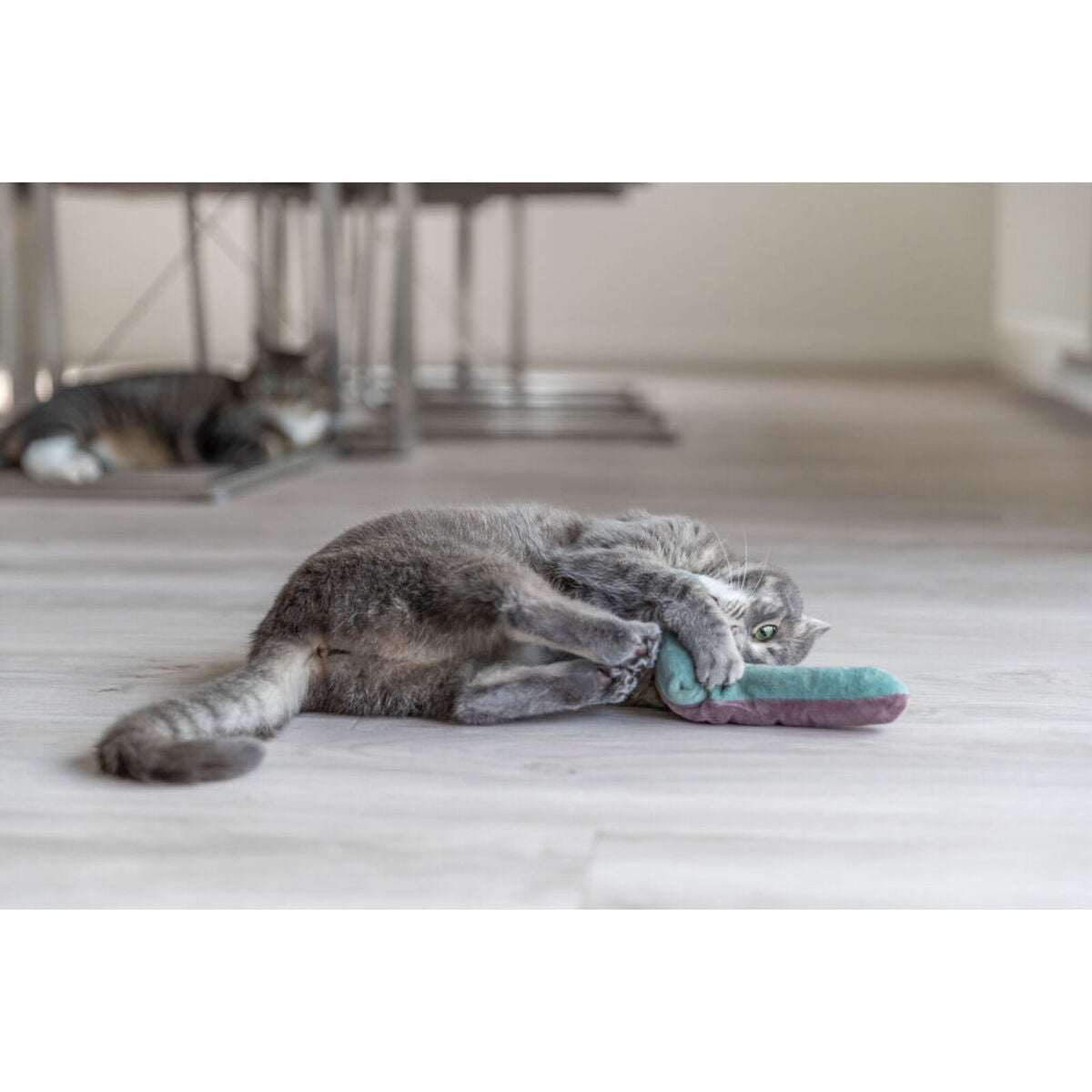 V5HFA7A2429A1EECAD777F0A68E395382D7R7462232P7