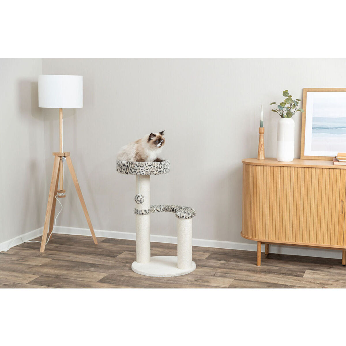 V3H58CD619B2CD590086F33B958015B800CR7428853P5