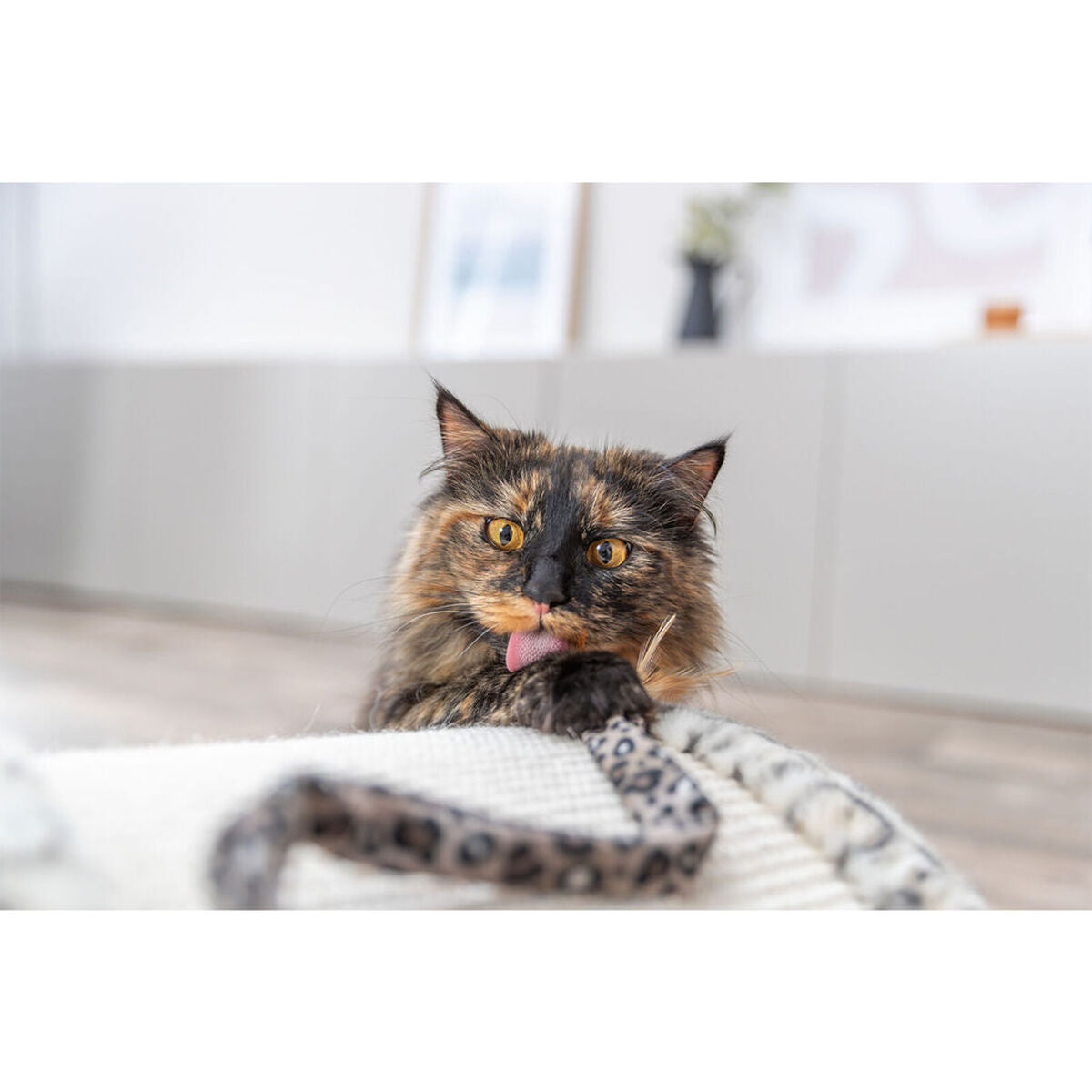 V3HA822D48794574151F126AB7E6123242ER7431711P7