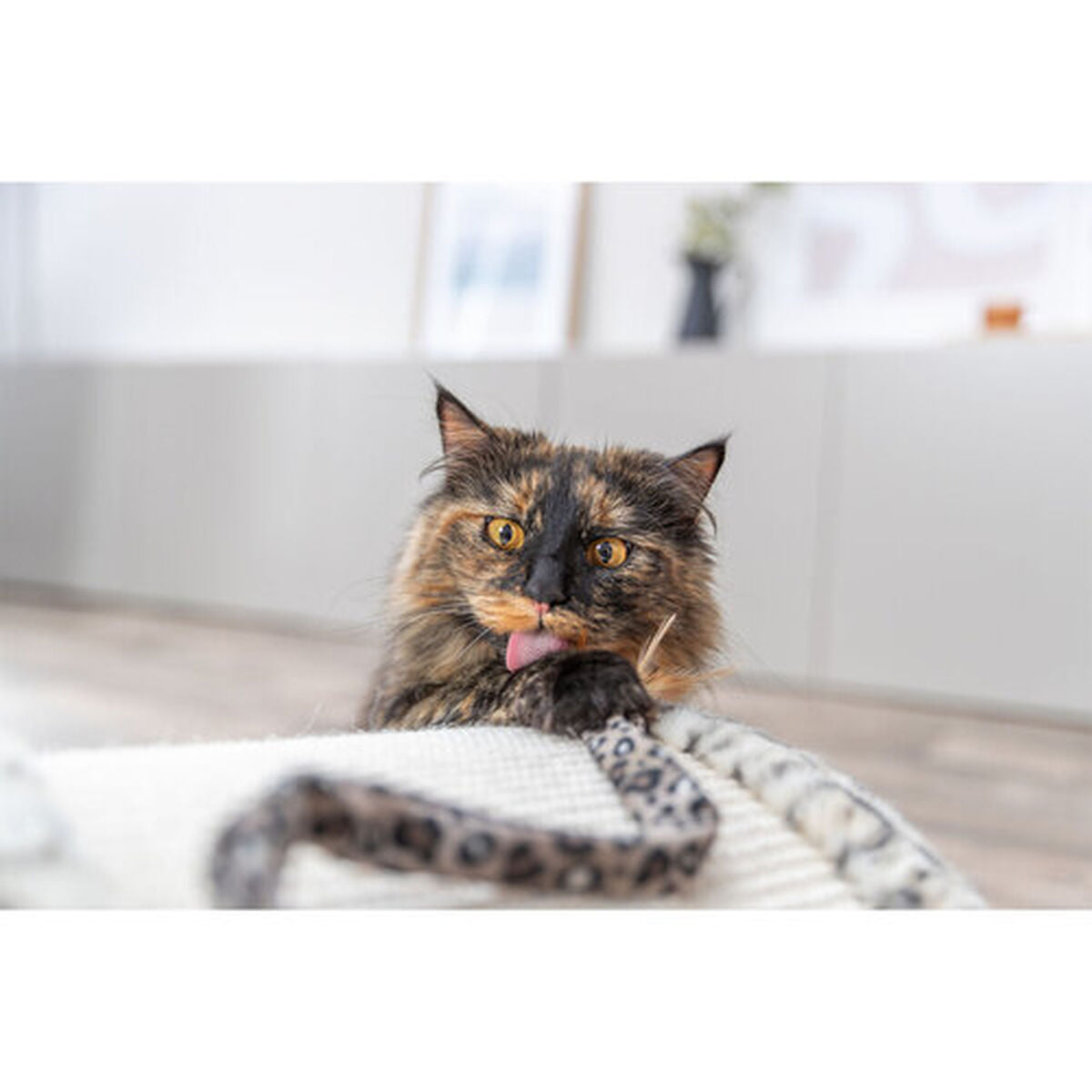 V3H680B66F4BD43F41F23B76E68C949286CR7431713P8