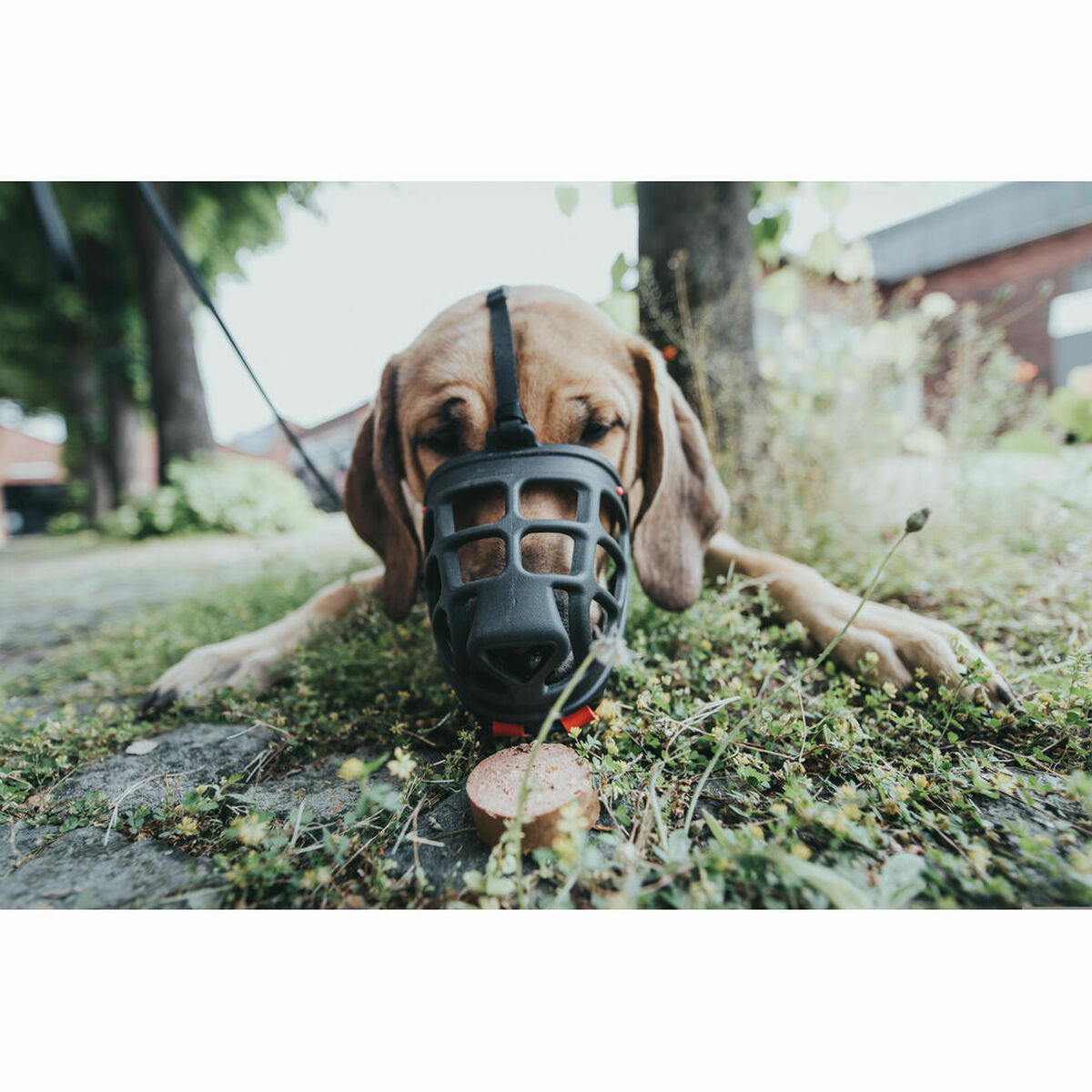 V10HD6ED2A24E27E91DE6A7551B111713AD1R4989128P2