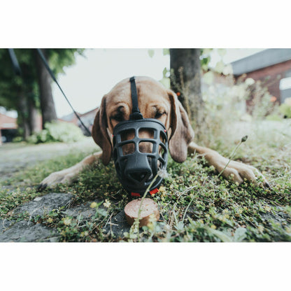 V10H771AF0D33BF194EEA2063116AC0CB767R4389382P2