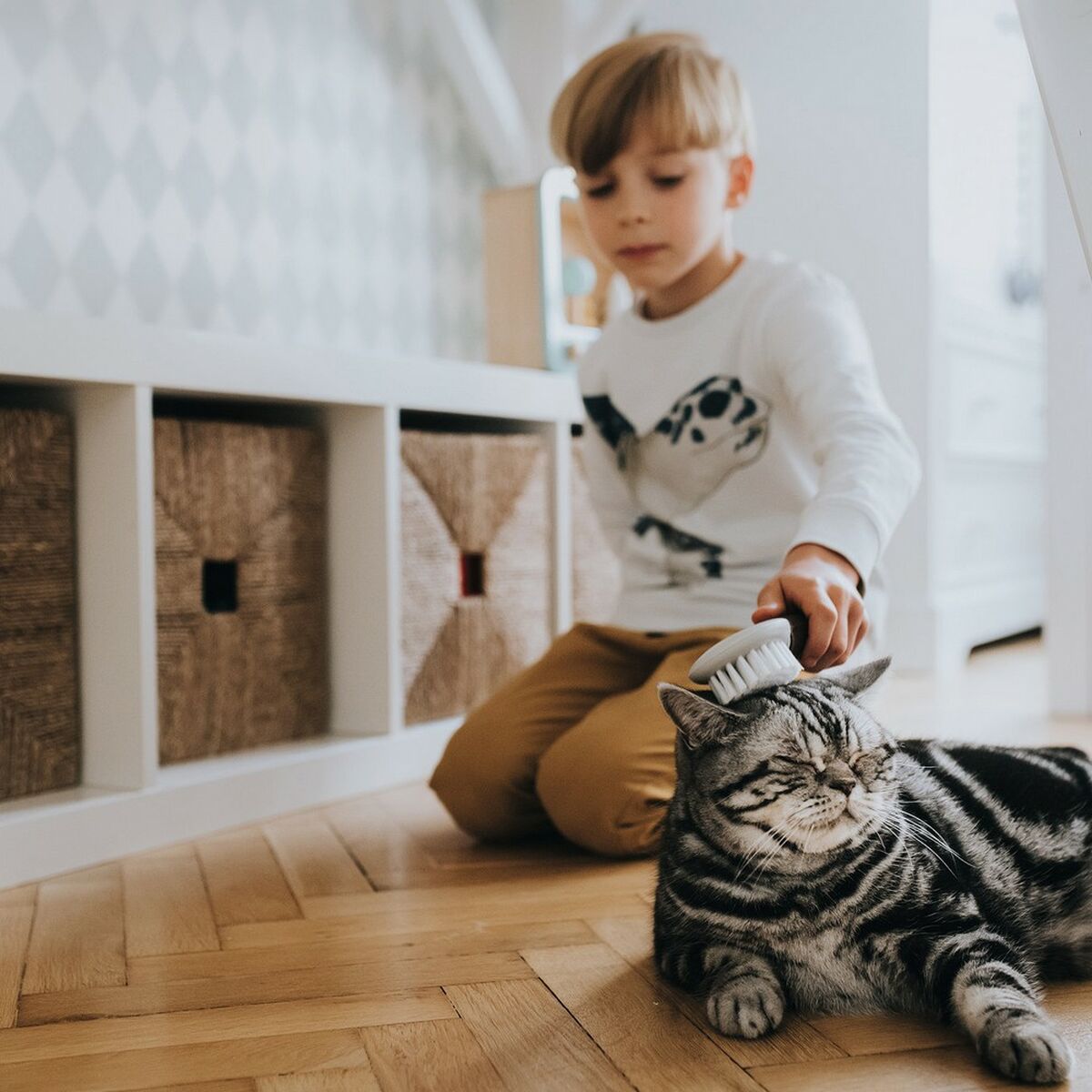 V10H5E351B2379125EC1C6BF8FDAE23666E3R4267966P4