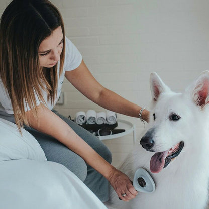 V10HB999B022ED9FAA808970463E0AA98B2DR3618719P6