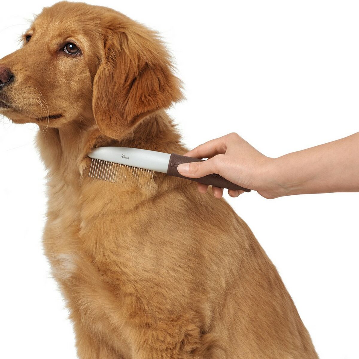 V10H4ABD73A5B68D792D22F8741DF3D6301CR5597841P3