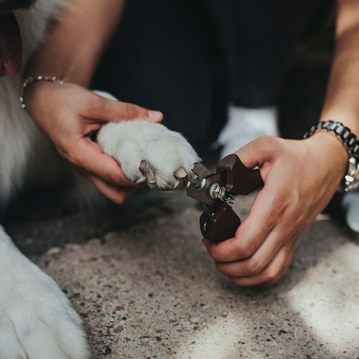 V10H5AA93578AAA0C7AB80F0782DA6E0C1C6R5597723P2