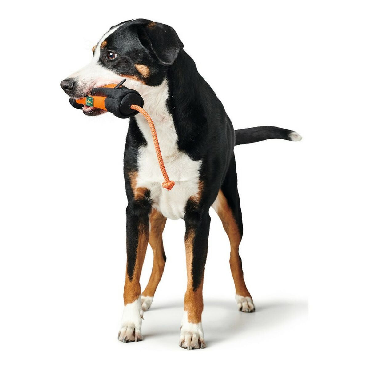 V10H5B9CA5F93F34598B97471A8EB81DC6A6R3888689P4